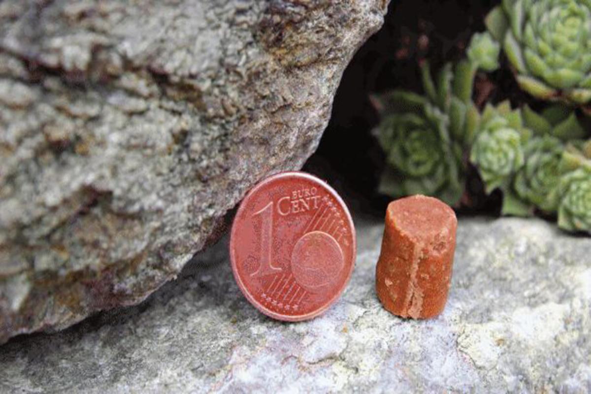 Mini Kartoffelhäppchen Büffel - 150g